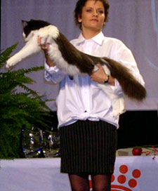 Cassiopeia p scene til World Show 2003 vist flot frem af en sd steward.